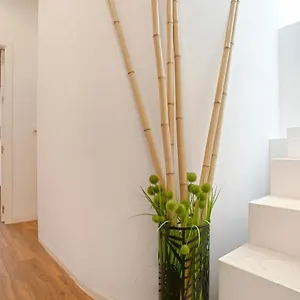 Apartamento Genteel Santa Teresa, Sevilha